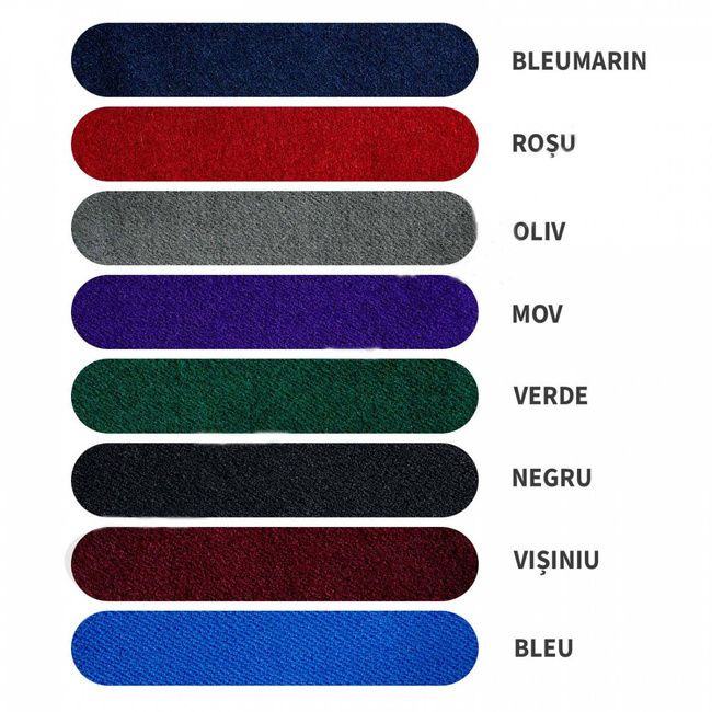 PETLITE MAPN - SOLDATI (SGP) - BRODATE PE SUPORT BLEU (PASPOAL ORAS)