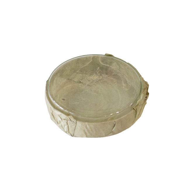 KÉT ÜVEG PETRI-CSÉSZÉBŐL ÁLLÓ KÉSZLET, ÁTMÉRŐ 19-20 CM - KATONAI FELESLEG A RÓMAI HADSEREGBŐL - MINT ÚJ