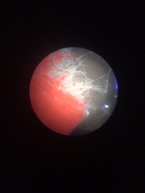 Mikroszkóp Carl Zeiss Jena (+ doboz) - használt