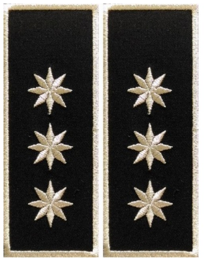 Embroided emblems - Local Police (Executive Director)