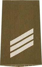 EMBLÉMA - GERMAN ARMY O.D./SILVER SHOULDER LOOPS ´HAUPTGEFREITER´