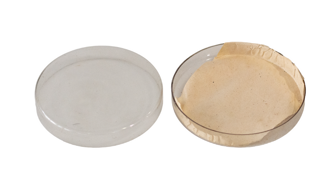 KÉT ÜVEG PETRI-CSÉSZÉBŐL ÁLLÓ KÉSZLET, ÁTMÉRŐ 19-20 CM - KATONAI FELESLEG A RÓMAI HADSEREGBŐL - MINT ÚJ