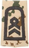 EMBLÉMA - GERMAN ARMY TROPICAL CAMO/BLACK SHOULDER LOOPS ´STABSFELDWEBEL´