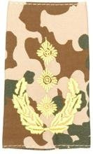 EMBLÉMA - GERMAN ARMY TROPICAL CAMO/GOLD SHOULDER LOOPS ´GENERAL-LEUTNANT´