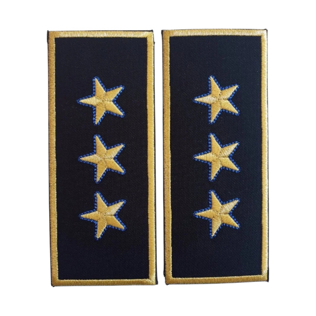 GRADE DIRECTOR GENERAL ADJUNCT VAMA - CEREMONIE/ NEGRU