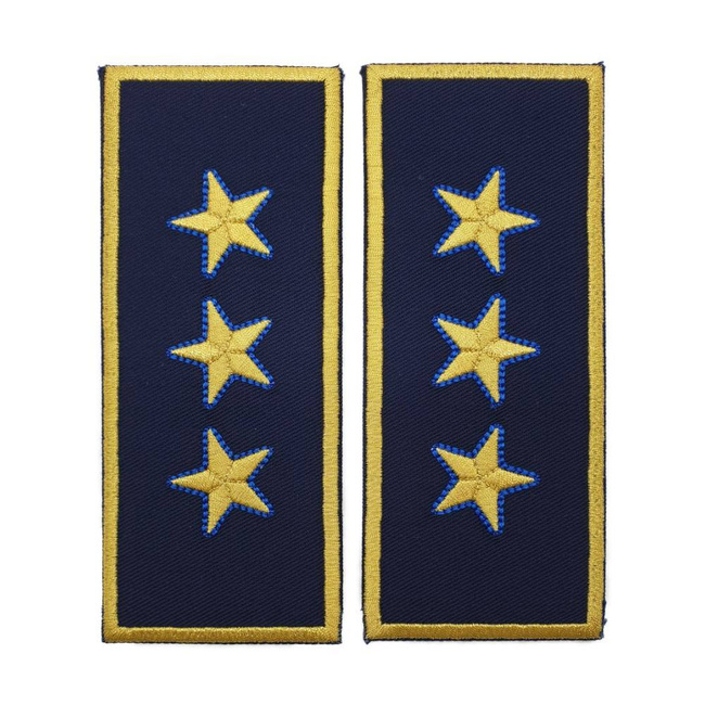 GRADE DIRECTOR GENERAL ADJUNCT VAMA - REPREZENTARE/ BLEUMARIN