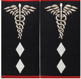 Grade Asistent Medical șef la nivelul județean sau al municipiului București cu atribuții pe plan regional