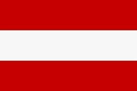 FLAG 30 x 46 cm with wooden stick AUSTRIA