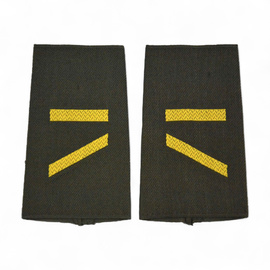 PAIR OF ORIGINAL RANKS - PRIVATE MC - GERMAN ARMY - NAVY - OLIVE GREEN/GOLDEN