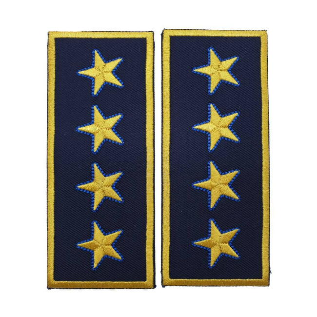 GRADE DIRECTOR GENERAL VAMA - REPREZENTARE/ BLEUMARIN