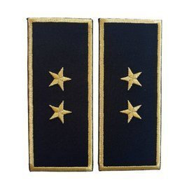 GRADE SEF BIROU VAMAL -  REPREZENTARE/ BLEUMARIN