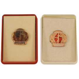 NVA metal jelvény, Wehrerziehung Bronze, használt