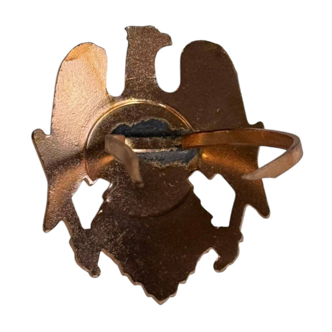 KATONAI SISAKJELVÉNY - SAS ZOMÁNCOZOTT CÍMERREL - ROMÁN KATONAI FELESLEG