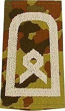 EMBLÉMA - GERMAN ARMY FLECKTARN CAMO/SILVER SHOULDER LOOPS ´HAUPTFELDWEBEL´