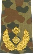 EMBLÉMA - GERMAN ARMY FLECKTARN CAMO/GOLD SHOULDER LOOPS ´GENERAL-MAJOR´