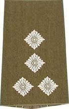 EMBLÉMA - GERMAN ARMY O.D./SILVER SHOULDER LOOPS ´STABSHAUPTMANN´