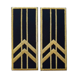 GRADE CONTROLOR – REFERENT VAMAL PRINCIPAL - CEREMONIE/ NEGRU