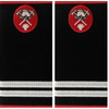 Grade locotenent pompieri IGSU tesute pe suport textil din paspoal cusut, cu semn de arma brodat 