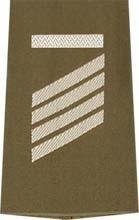 EMBLÉMA - GERMAN ARMY O.D./SILVER SHOULDER LOOPS ´STABSGEFREITER UA´