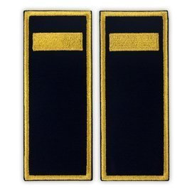 Grade Agent penitenciar ANP - Fundal simplu - 12x5 cm (model nou)