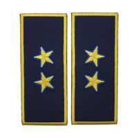 reprezentare/bleumarin