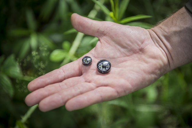 Iránytű gomb - kicsi - fekete - Helikon