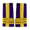 OFFICER RANKS, QUARTERMASTER - COLONEL WITHOUT A SIGN OF ARMS, PURPLE CITY - MILITARY SURPLUS ROMANIAN ARMY - USED