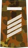 GERMAN ARMY FLECKTARN CAMO/SILVER SHOULDER LOOPS ´STABSGEFREITER UA´