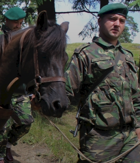 Horse halter with snaffle - Romanian Surplus - In good condition