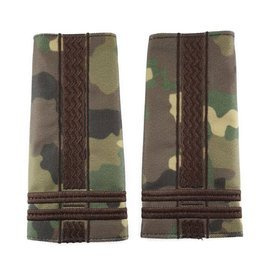 GRADE LOCOTENENT-COLONEL COMBAT FORTE TERESTRE