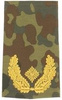 EMBLÉMA - GERMAN ARMY FLECKTARN CAMO/GOLD SHOULDER LOOPS ´BRIGADE-GENERAL´