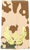 EMBLÉMA - GERMAN ARMY TROPICAL CAMO/GOLD SHOULDER LOOPS ´BRIGADE-GENERAL´