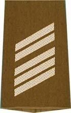 EMBLÉMA - GERMAN ARMY O.D./SILVER SHOULDER LOOPS ´OBERSTABSGEFREITER´
