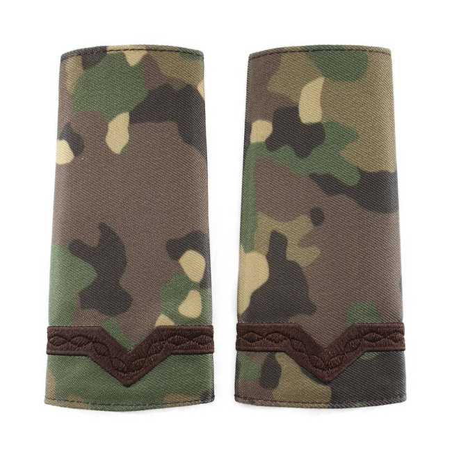 GRADE MAISTRU MILITAR CLASA 5-A COMBAT FORTE TERESTRE