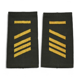PAIR OF ORIGINAL RANKS - CORPORAL MC - GERMAN ARMY - NAVY - OLIVE GREEN/GOLDEN