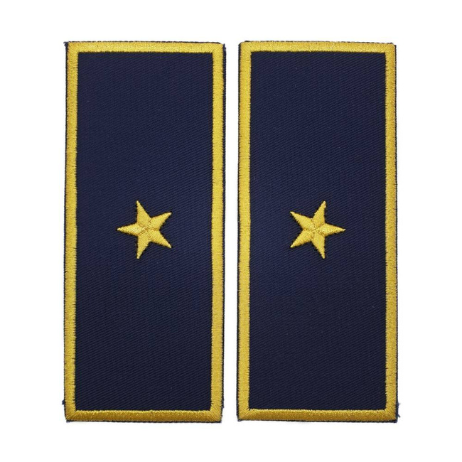 GRADE SEF ADJUNCT BIROU VAMAL - REPREZENTARE/ BLEUMARIN