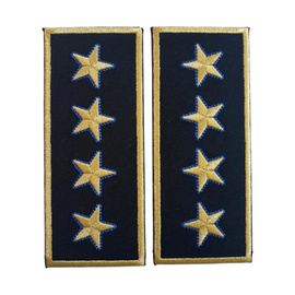 GRADE DIRECTOR GENERAL VAMA - CEREMONIE/ NEGRU