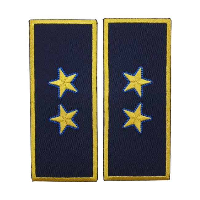 GRADE DIRECTOR EXECUTIV VAMA - REPREZENTARE/ BLEUMARIN