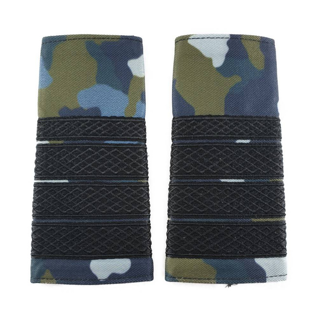GRADE MILITARE AVIATIE COMBAT, GRADE PLUTONIER ADJUTANT PRINCIPAL AVIATIE