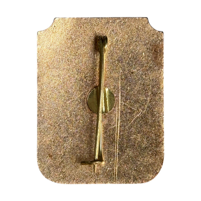 KATONAI JELVÉNY "ALTERNATÍV KÖZHASZNÚ SZOLGÁLAT - KATONAI FELESLEG RÓMAI HADSEREG - ARANY