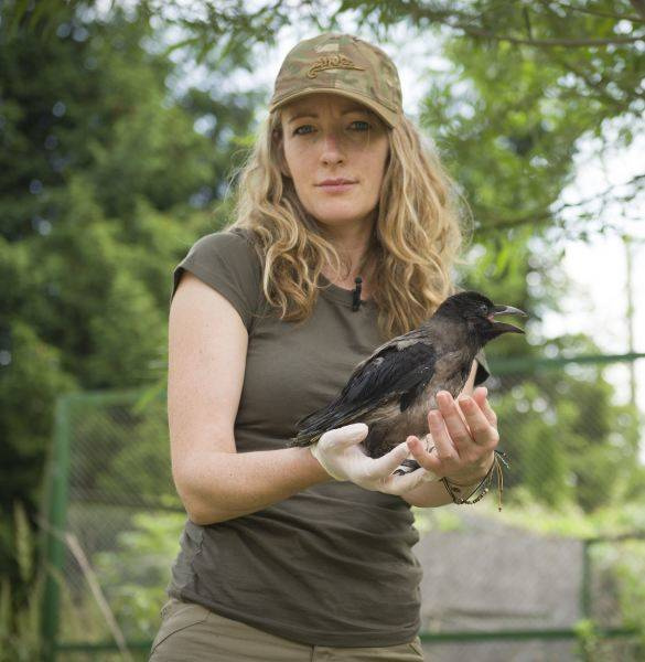 WOMEN'S COTTON T-SHIRT - Helikon-Tex® - COYOTE