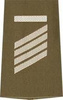 EMBLÉMA - GERMAN ARMY O.D./SILVER SHOULDER LOOPS ´STABSGEFREITER UA´