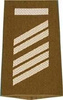 EMBLÉMA - GERMAN ARMY O.D./SILVER SHOULDER LOOPS ´OBERSTABSGEFREITER UA´
