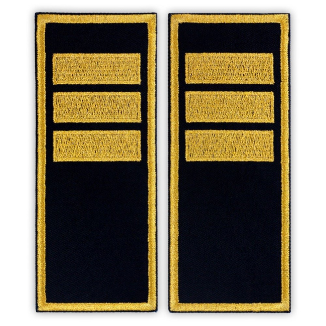 Grade Agent Șef Adjunct penitenciar ANP - Fundal simplu - 14x5,5 cm (model vechi)