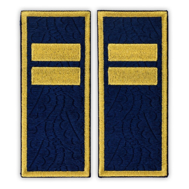 Grade Agent Principal penitenciar ANP - Fundal brodat complet cu frunze de stejar - 12x5 cm (model nou)