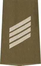 EMBLÉMA - GERMAN ARMY O.D./SILVER SHOULDER LOOPS ´STABSGEFREITER´