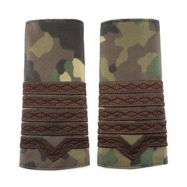 GRADE MAISTRU MILITAR CLASA I COMBAT FORTE TERESTRE