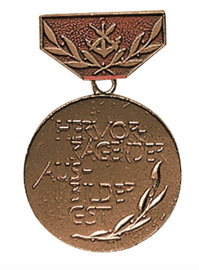 Bronze ′Ausbilder′ Gst Medal