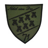 Emblema Baza 71 Aeriana - General Emanoil Ionescu - brodata pe suport oliv