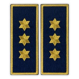 Gondoskodó Büntetés-végrehajtási Főigazgató, ANP